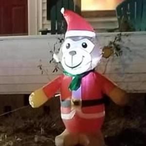 Meet your Posher, Carol